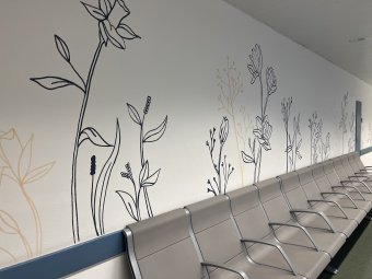Flors pintades en una paret