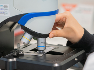 Microscopi amb mostra